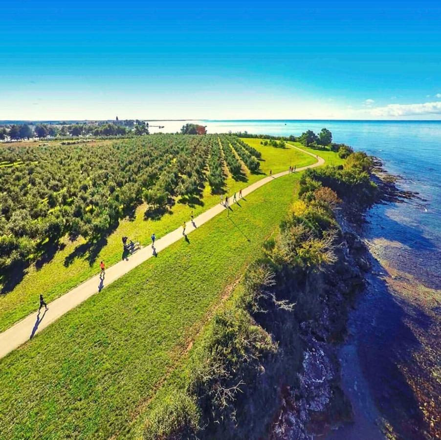 Corinne Garden Residence Novigrad Istria Εξωτερικό φωτογραφία